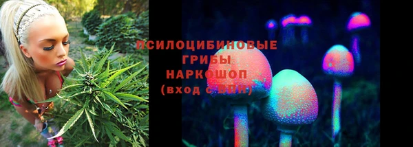 круглые Магас