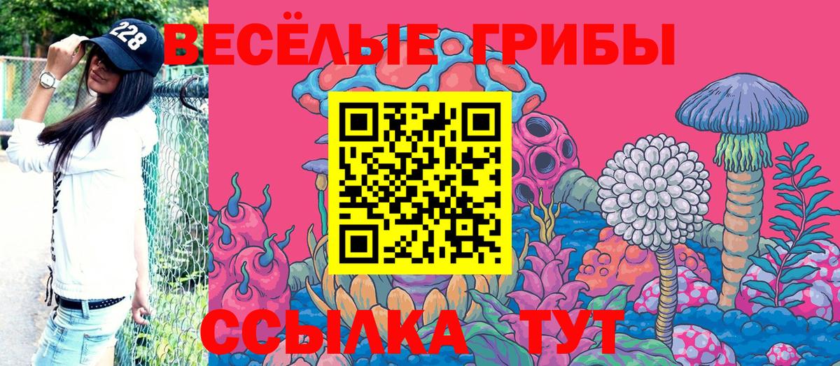 Псилоцибиновые грибы мухоморы Волгодонск