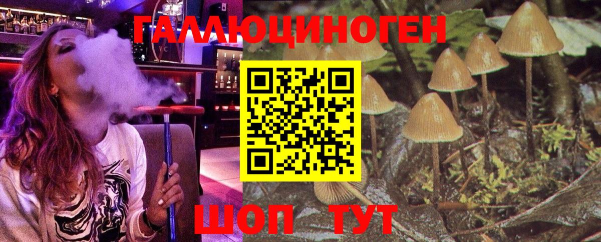Волгодонск  Галлюциногенные грибы прущие грибы  Вход с VPN 